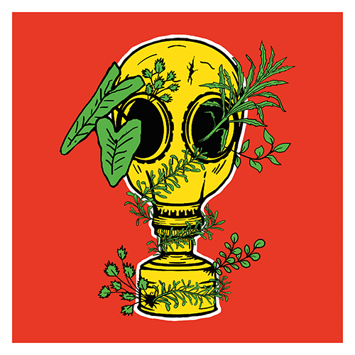 comida saudável pra todos